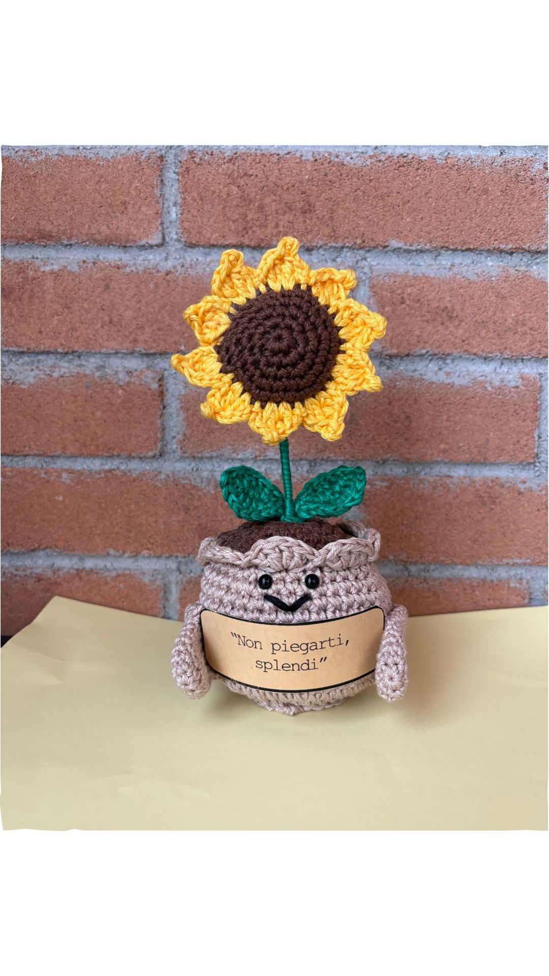 Gino “ il girasole con il bigliettino”